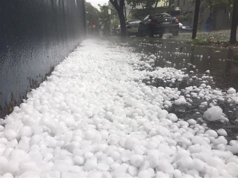 sydney hail|Sydney Hail .